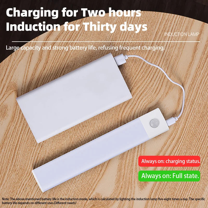 Smart LED Motion Sensor Light